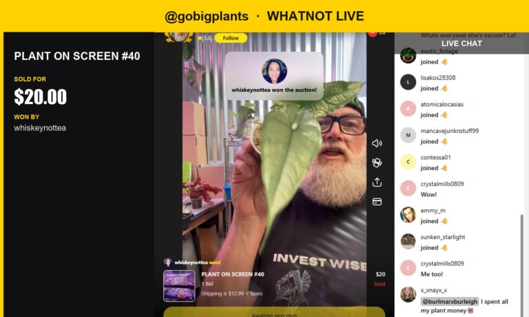 PLANT ON SCREEN #40