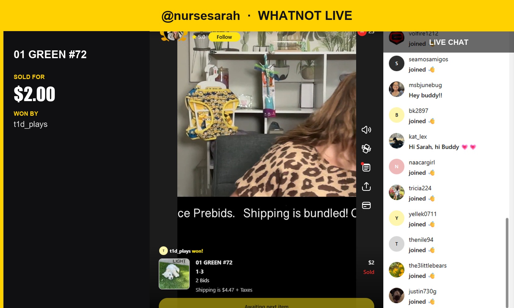 Last Chance for Cat Halloween Fun: Green #72 Sells on Whatnot Live