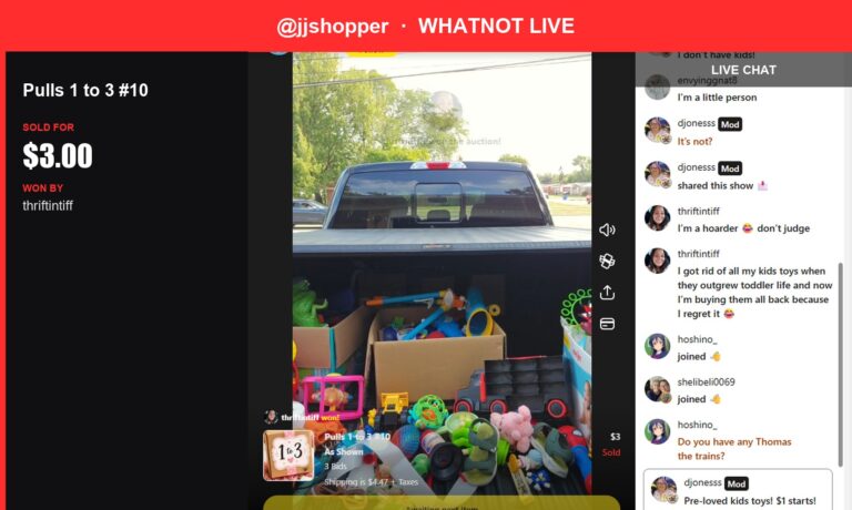 Mini Toy Trio Sells for $3 on Whatnot Live
