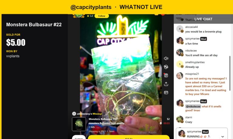 Monster Sale: Capcityplants' Bulbasaur Nabs Buyer