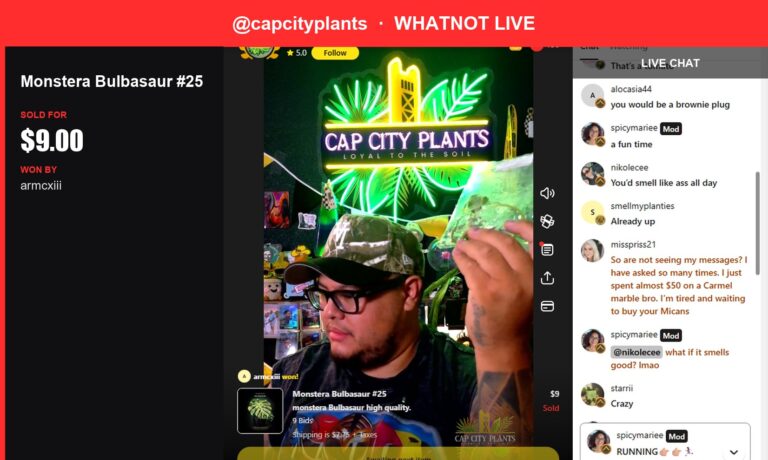 A Finicky Owner for This Monstera Bulbasaur!