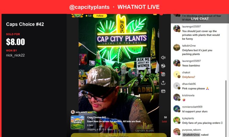 Whatnot Whatnot Winner: Dragon Scale Mint Scores Big with Nick_nick22