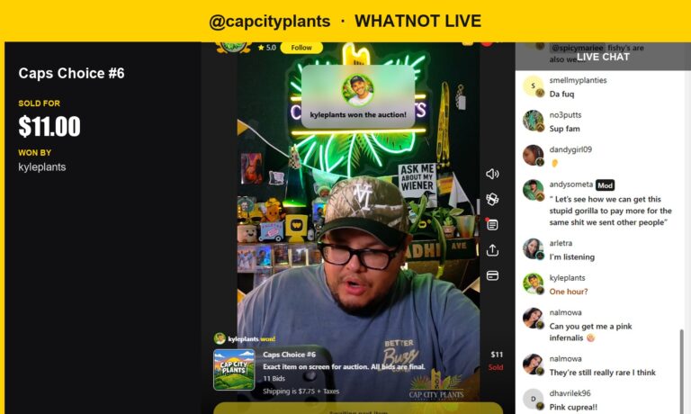 Pink Inflatable Plant Hype Reaches Whatnot Live