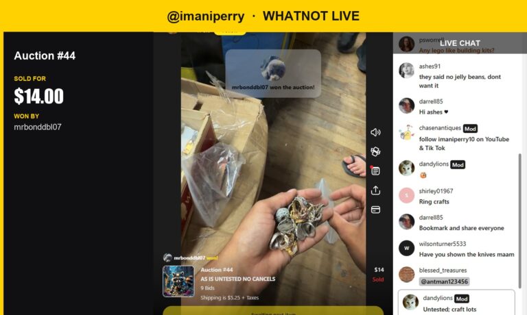 Bag of Mystery Craft Sells for $14 on Whatnot Live Auction