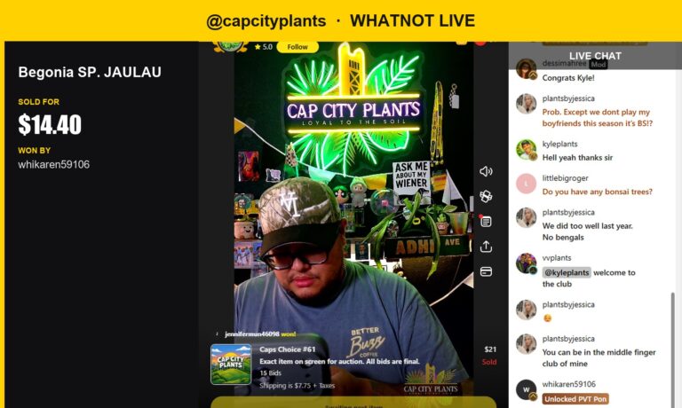 Rare Begonia SP. JAULAU Sells for $14.40 in Cap City Plants' Whatnot Live Show