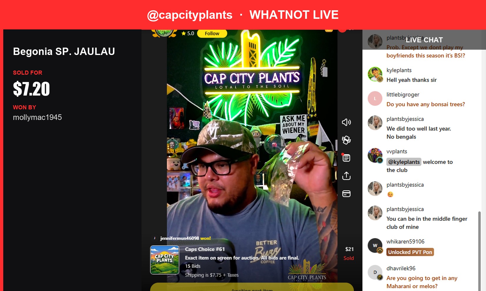 Rare Begonia SP. JAULAU Sold on Whatnot Live Show