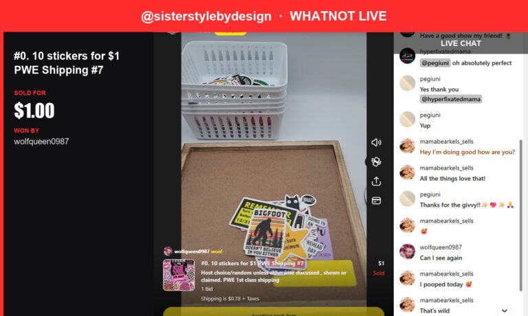 Small but Mighty: Seller Lands First Sale with Sarcastic Sticker Set