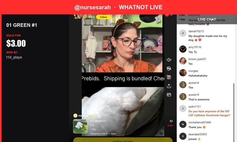 Whatnot Live Show Recap: Adorable Kitty Toy Brings in Low Seven-Dollars-Enough