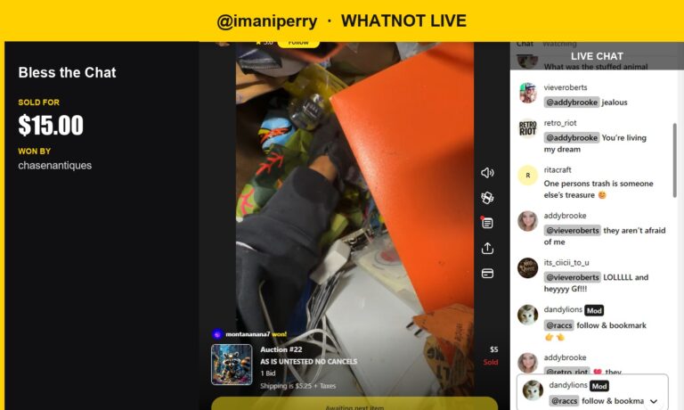 "Bless the Chat": Whatnot Buyer Scores Fire Extinguisher for $15