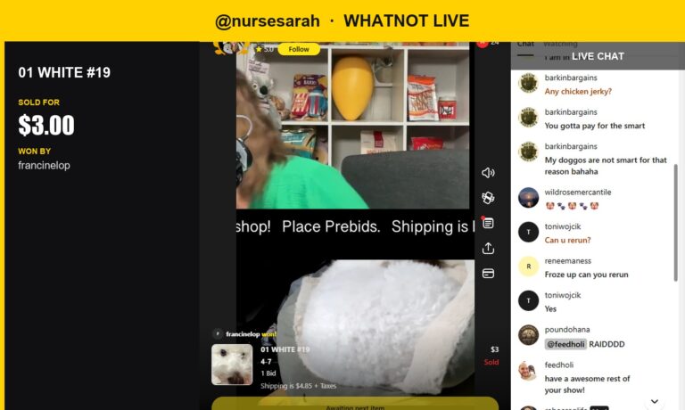 Whatnot Watch: Small but Mighty Plush Toy Sells for $3