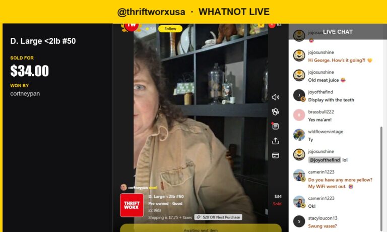 Whatnot Live Sale: Thriftworxusa's Glazed Ceramic Finds a Home!