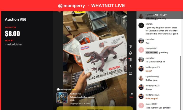 Whatnot Win: Vintage Remote Control Dinosaur