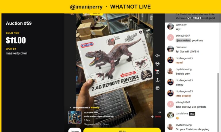 Christmas in Advance: Vintage Remote Control Dinosaur Sells for $11 on Whatnot
