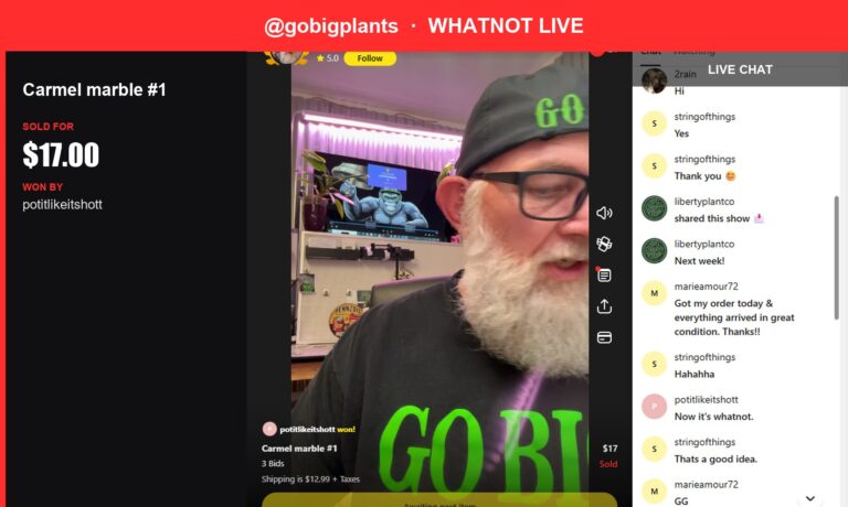 Whatnot Live Show Recap