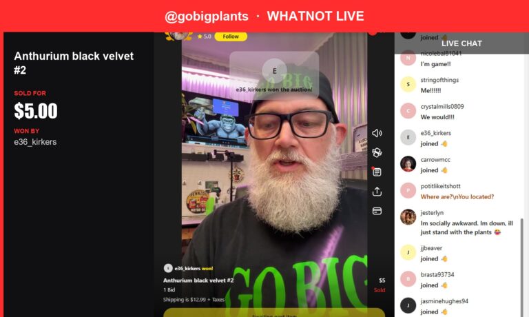 Rare Orchid Sells for $5 during gobigplants' Whatnot Live Show