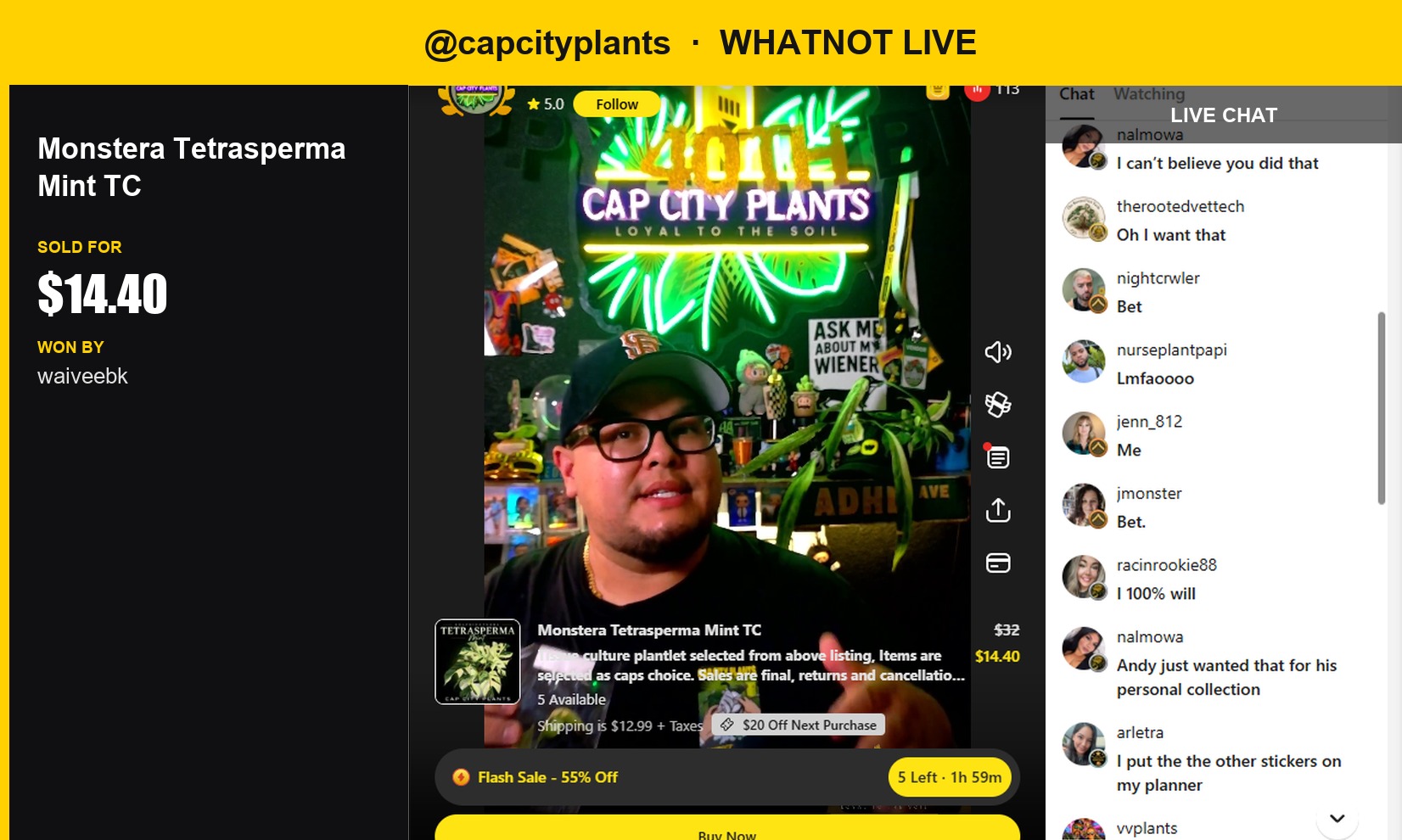 Rare Monstera Tetrasperma Mint Sells for $14.40 in Whatnot Live Show
