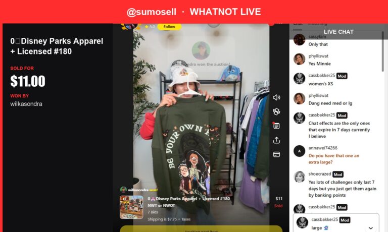 "Cozy Disney Parks Sweatshirt Swept Up in Whatnot Sale!"