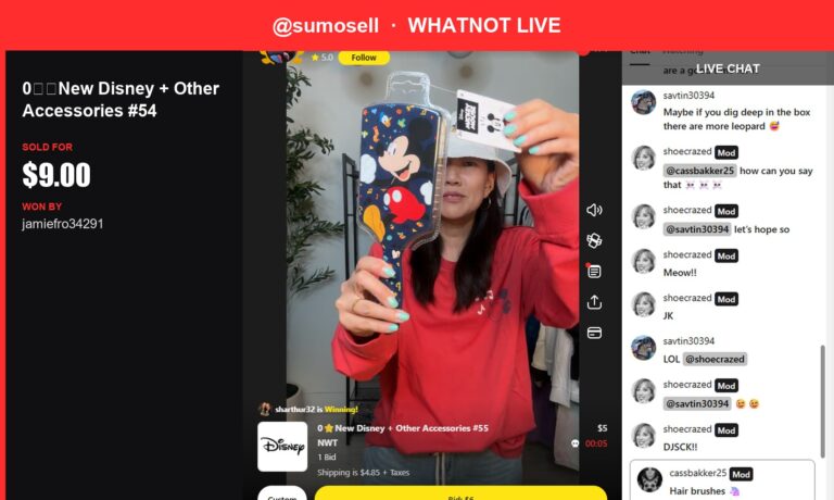 Mini Disney Hairbrush Wins Over Jamiefro34291's Heart