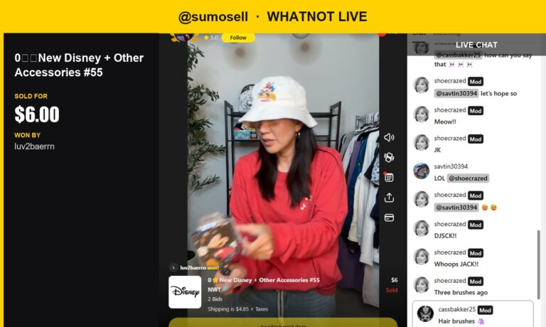 Mickey Mouse Minimals Hairbrush Sold for $6 in Whatnot Live Show