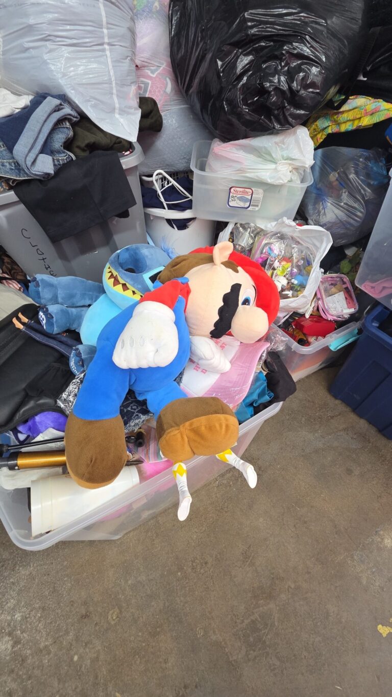 Storage Unit Surprises: Recap of stayhometoshop's Live Whatnot Auction