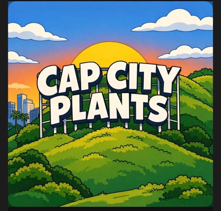 Spotlight On: Capcityplants' Enthusiastic Plant Community