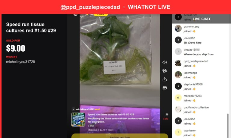 Speed Run Tissue Culture Scores Big with Michelleyou31729!