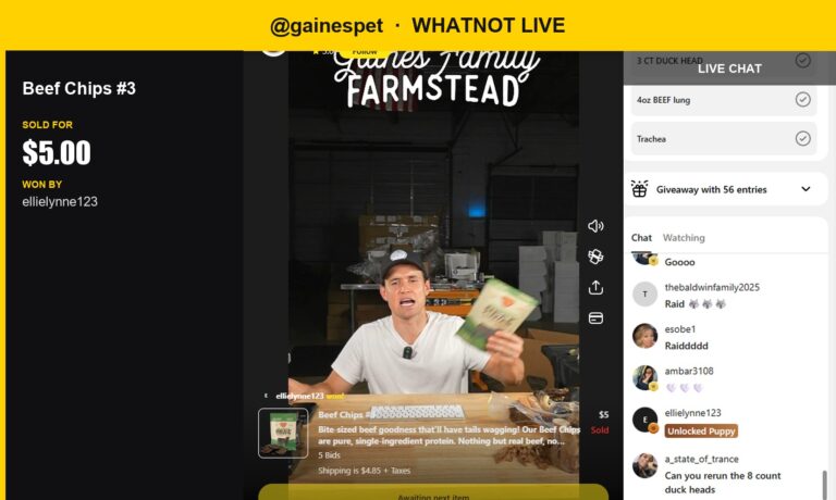 Beefy Snack Time: Gainesspet's Beef Chips Sell for $5