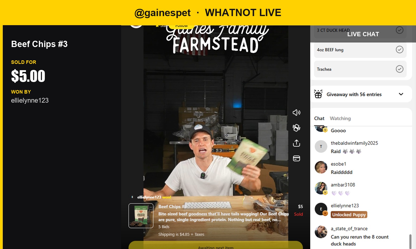 Beefy Snack Time: Gainesspet's Beef Chips Sell for $5
