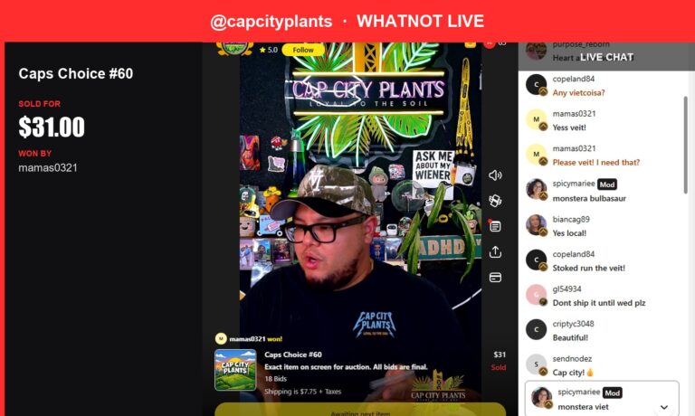 Whatnot Winner: A Rare Monstera Bitziosa Sold for $31.00