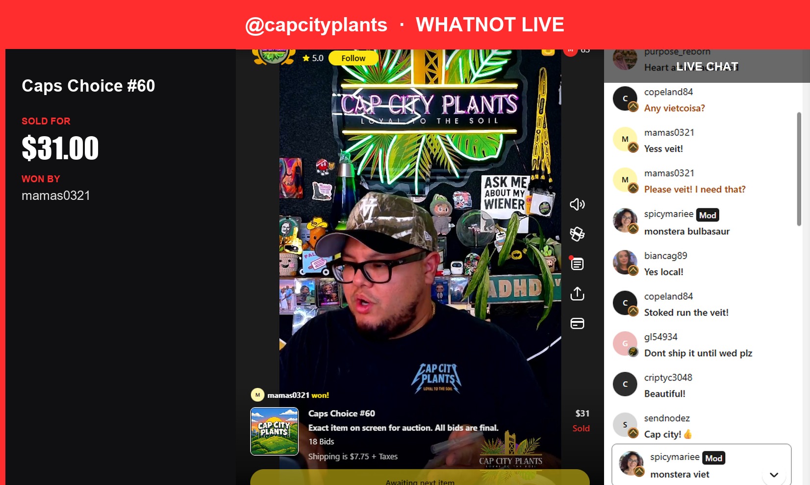 Whatnot Winner: A Rare Monstera Bitziosa Sold for $31.00
