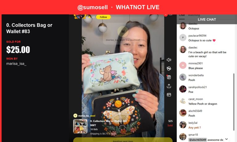 Loungefly Collectors Bag or Wallet #83 Sells for $25 in Whatnot Auction