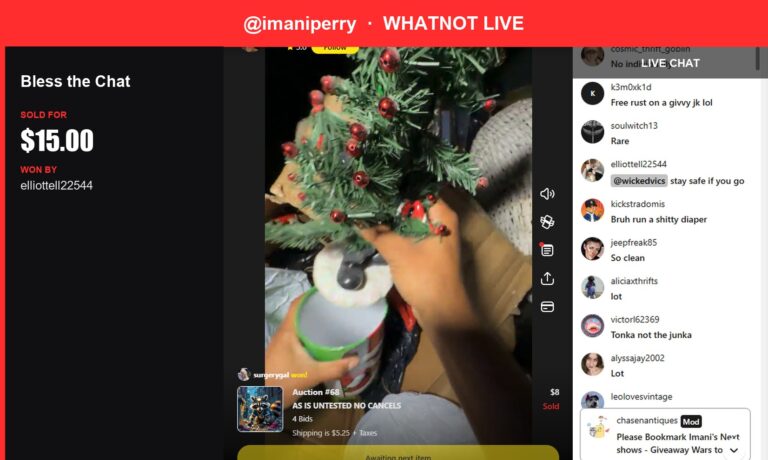 "Bless the Chat" Sells for $15 in Whatnot Storage Unit Finds Livestream