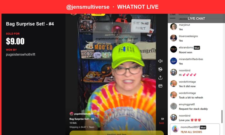 Loungefly Surprise Bag Wins Big in Jensmultiverse's Live Show