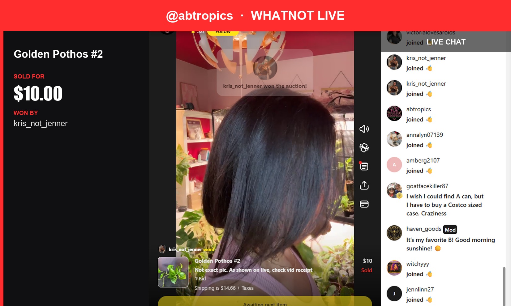 Abtropics' Golden Pothos Sells for $10 in Whatnot Live Show