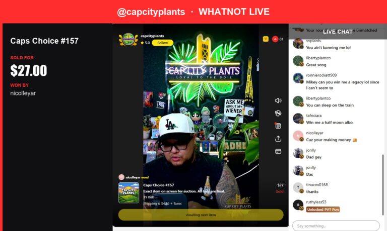 Rare Monstera Bundle Sells for $27 on Whatnot