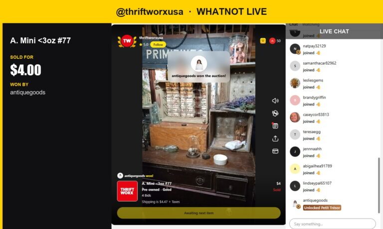 Whatnot Live Show Haul: Thriftworxusa Sells Charming Stoneware Bottle Stopper