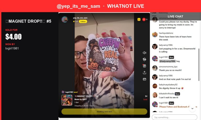 Halloween-Themed Magnet Sold for $4 in Whatnot Live Show
