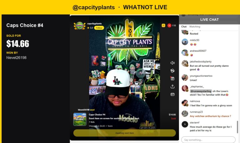 Monstera 'Devil Monster' Sells for $14.66 in Whatnot Live Auction