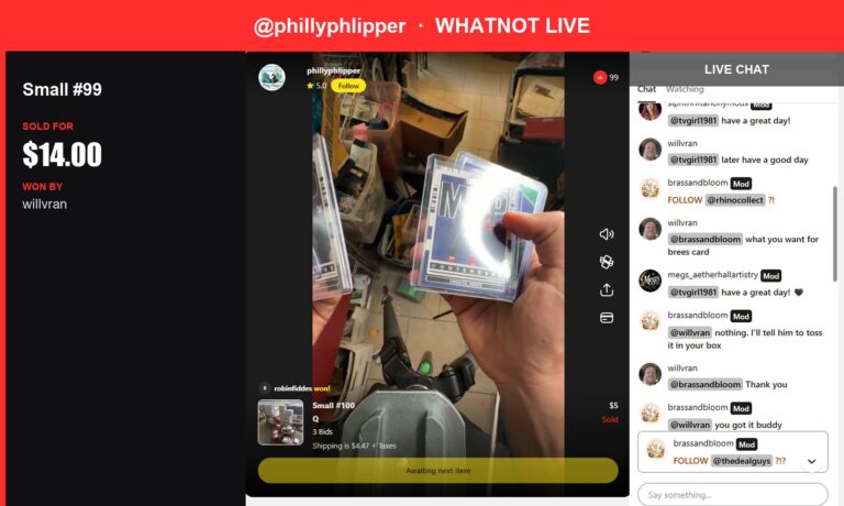 Whatnot Live: Small Storage Unit Treasure Sells for $14