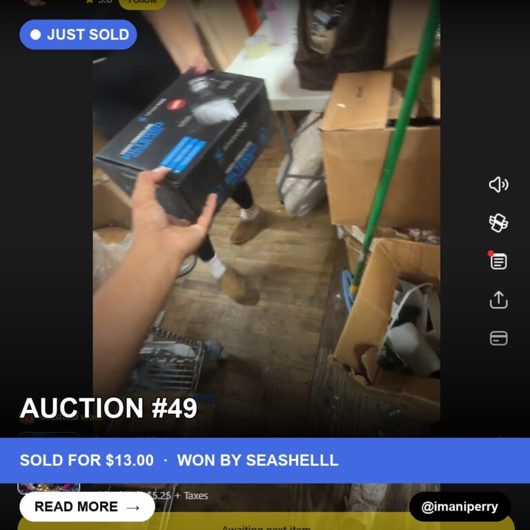 Scored on a Shoestring: imaniperry's Storage Unit Find Snags Steal