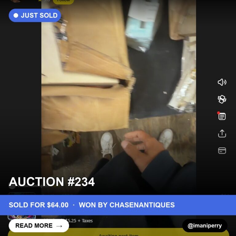 Ornament Enthusiast Scores a Gem at imaniperry's Storage Unit Finds Live Show