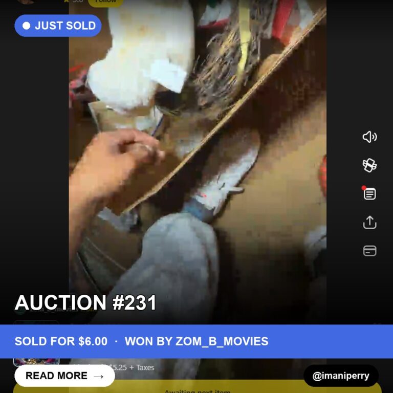 Storage Unit Treasure Unleashes Love Story