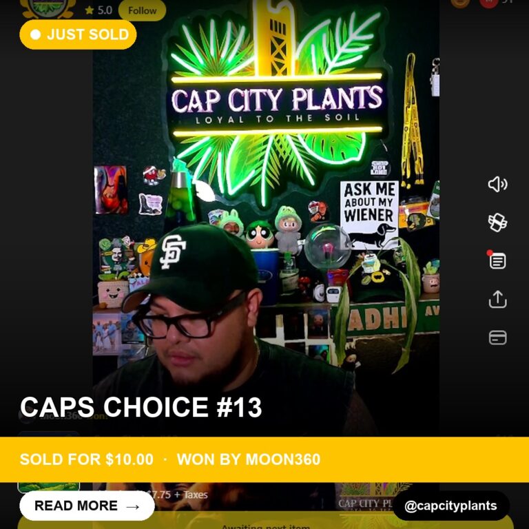 New Whatnot Find from @capcityplants: Sold for 10.00 USD