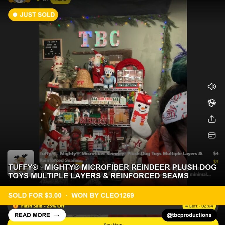 Cute Christmas Reindeer Toy Finds a New Home on Whatnot