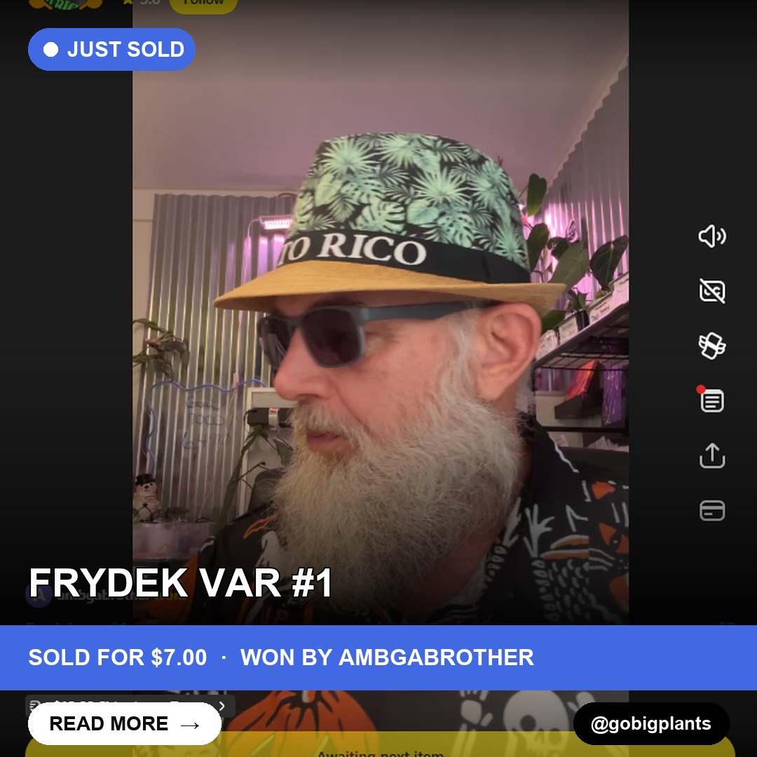 Rare Cactus Thrives: Frydek var #1 Sells for $7