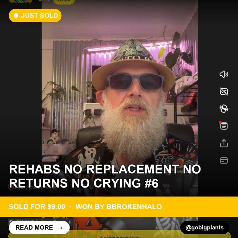 RARE REHABS PLANT SELLS FOR $9 ON WHATNOT
