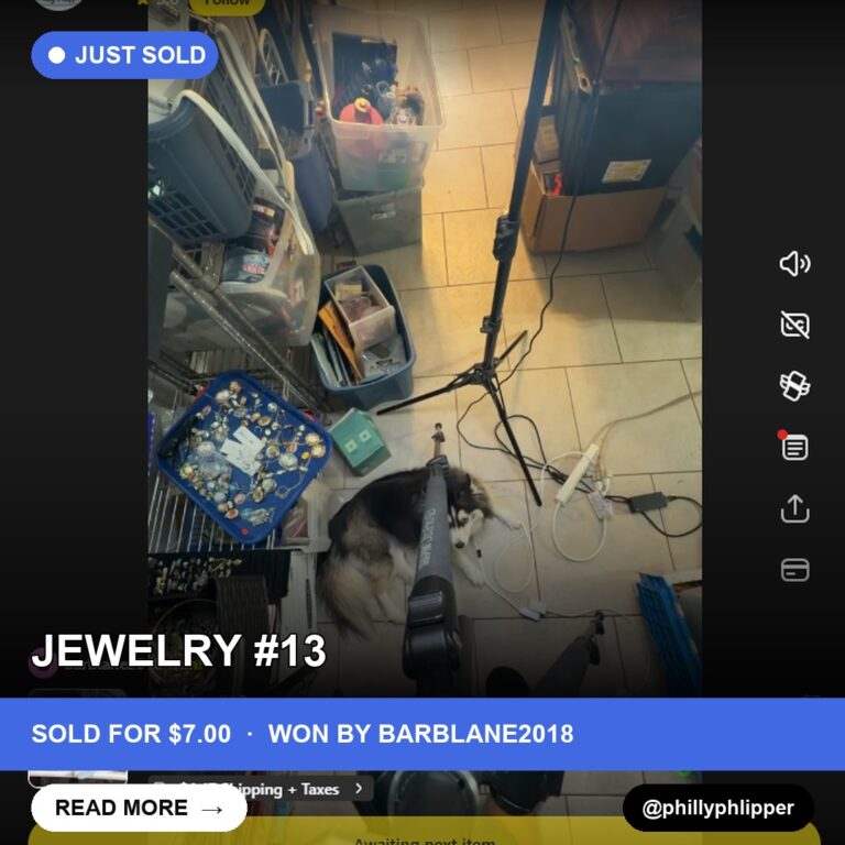Ringing in at $7: A Whatnot Gem Found!