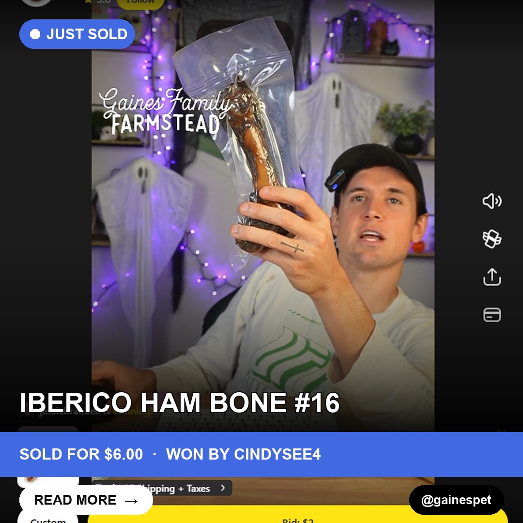 Real Madrid to Your Pet: Rare Iberico Ham Bone Sells for $6