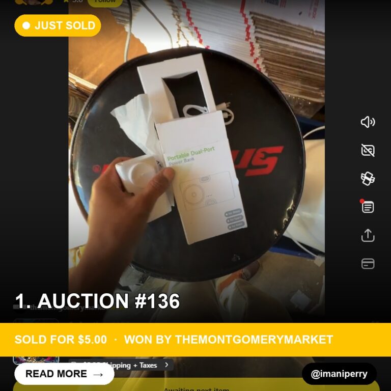 Portable Power Bank Sells for $5 in Whatnot Live Auction