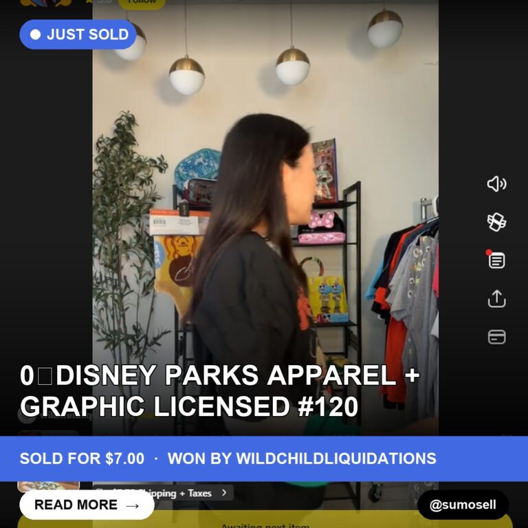 Rare Disney Parks Medium Tee Sells for $7